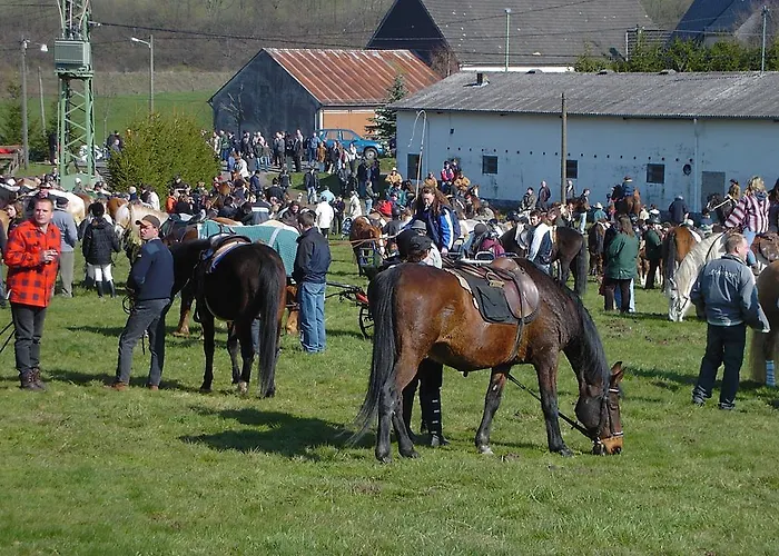 Ferienwohnung Eifelluft