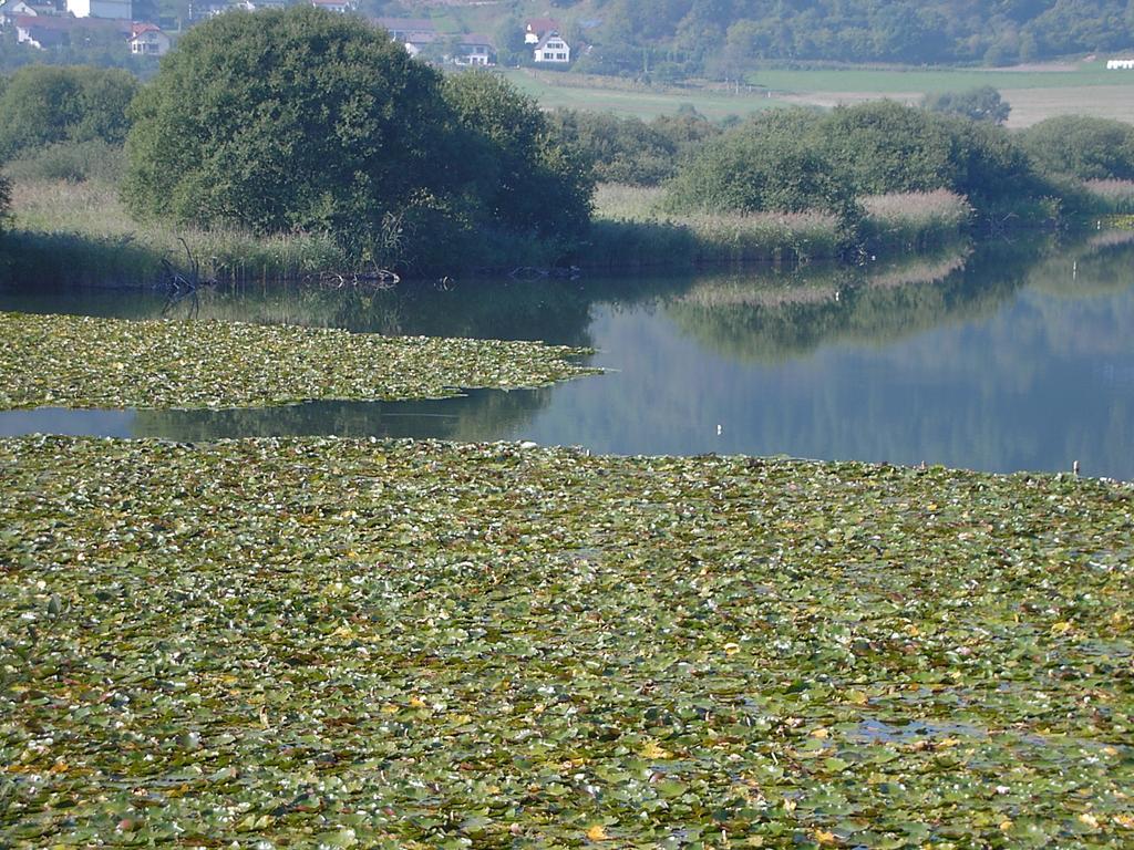 Eifelluft * Daun